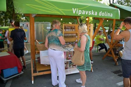 vipavska ned-371